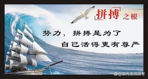 奋力一搏,谱写辉煌人生新篇章